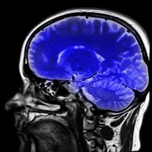 ماذا تقول علوم الأعصاب الحديثة